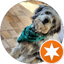 Gail Barnes profile picture